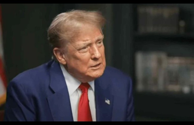 the diplomatic vission